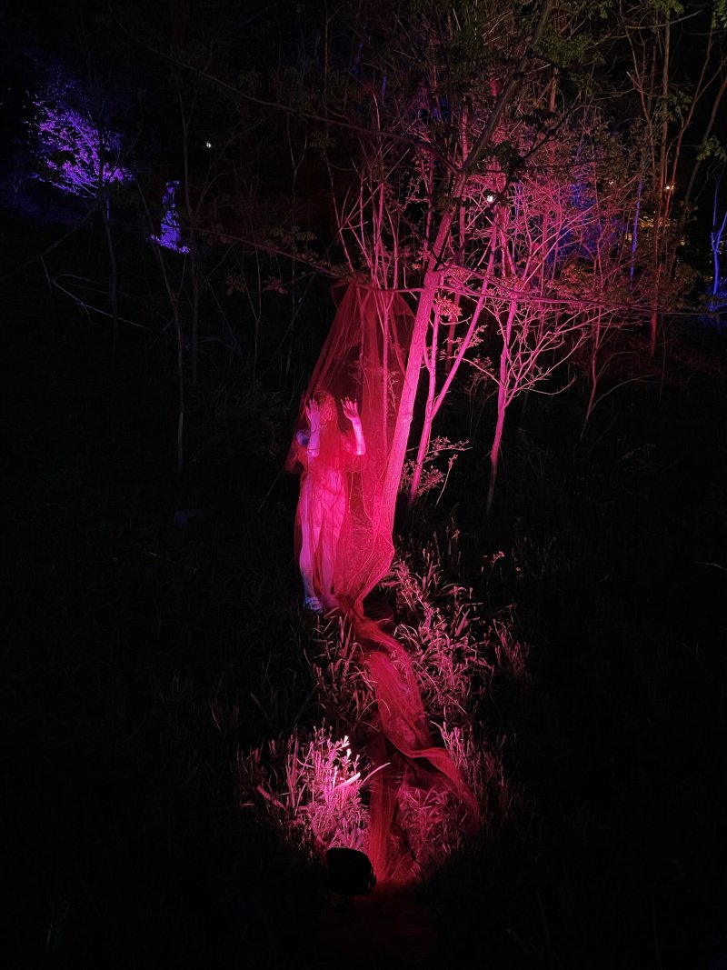 A figure in a flowing red garment stands under a tree, illuminated by pink and purple lights in a dark forest.