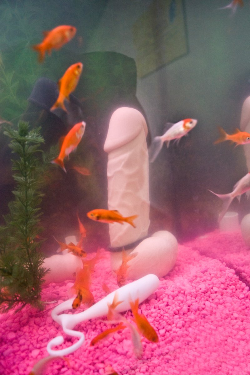 Aquarium with pink gravel, green plants, and orange goldfish swimming around a large, pale pink, phallic sculpture.