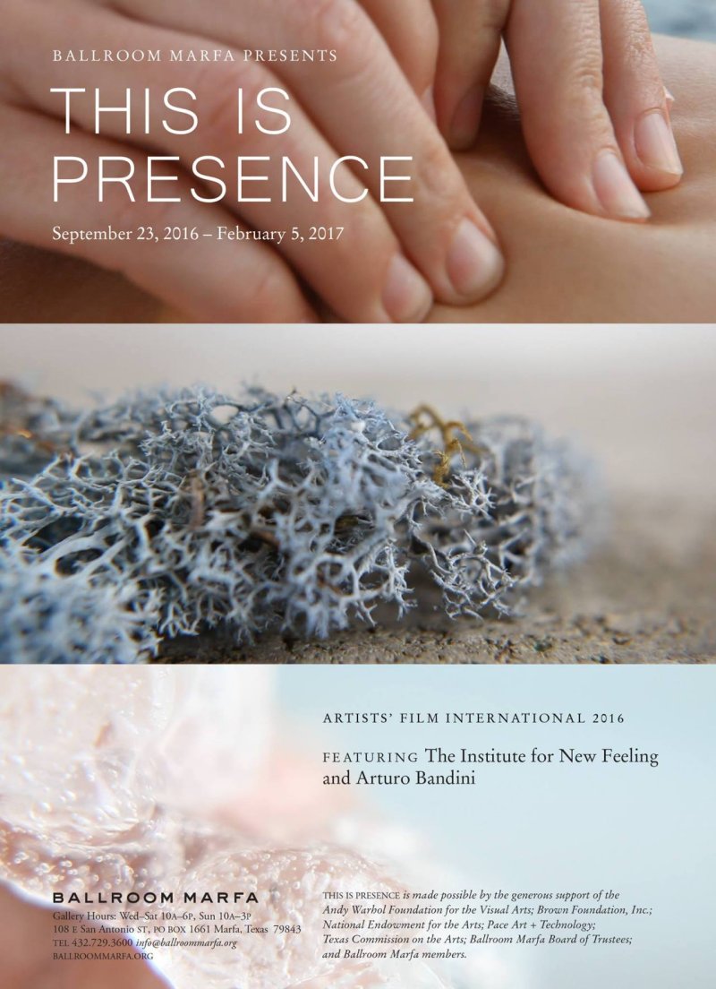 Close-up of a person's hands gently touching, with a detailed shot of dried moss or lichen below, and text overlay.