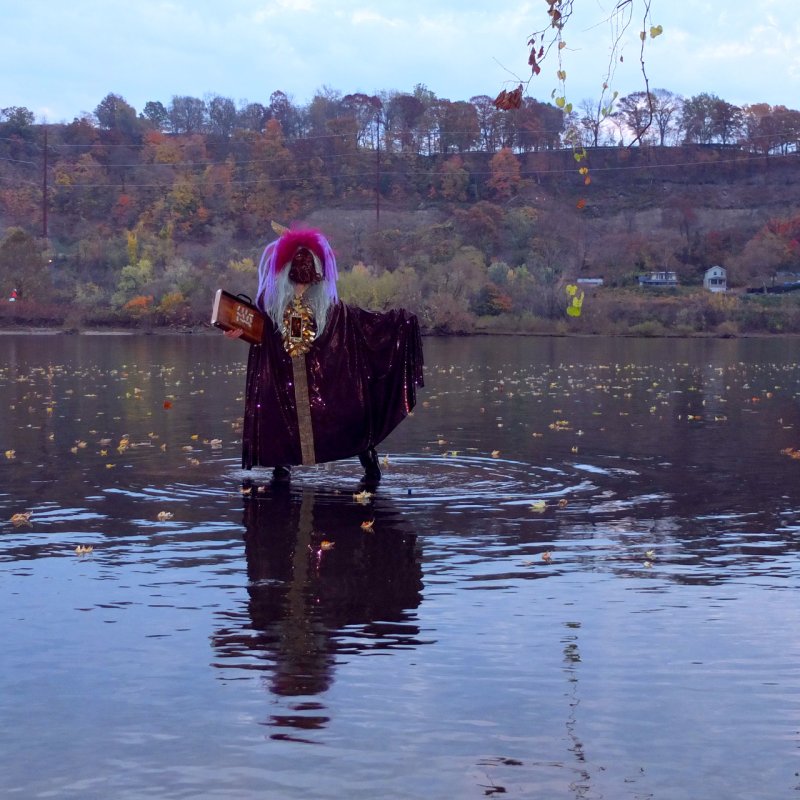 Person in dark purple robe and pink wig stands in water, holding a book, with autumn trees in background.