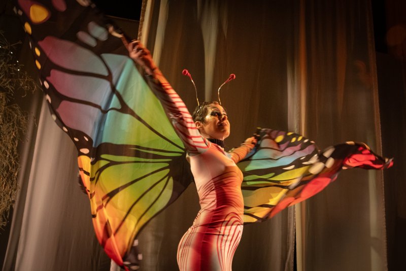 Performer in a striped bodysuit and butterfly wings with rainbow colors, arms outstretched, under warm stage lighting.