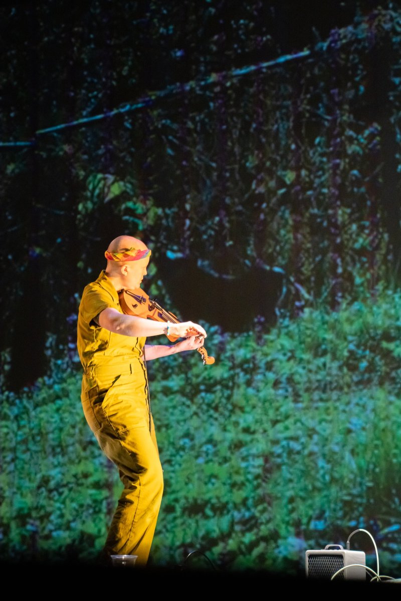 Performance art: person in yellow jumpsuit plays violin against projected green/black foliage.