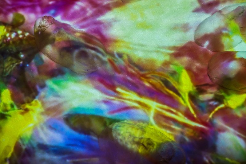 Abstract artwork with swirling colors of purple, yellow, green, and blue, creating a vibrant, textured surface.