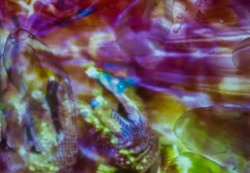 Abstract digital artwork with swirling purple, pink, yellow, and green hues, featuring blurred, organic shapes.