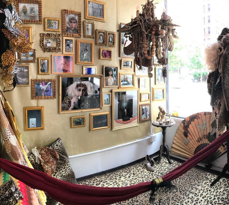 Gold-framed photos and art on a beige wall, a leopard print rug, and a red hammock in a room with a large window.